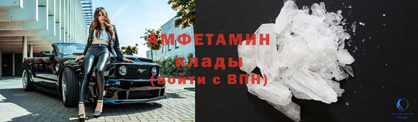 меф Ельня