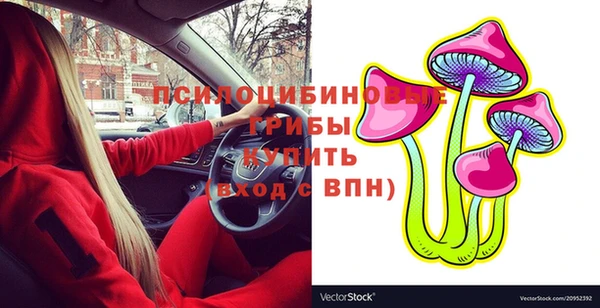 меф Ельня