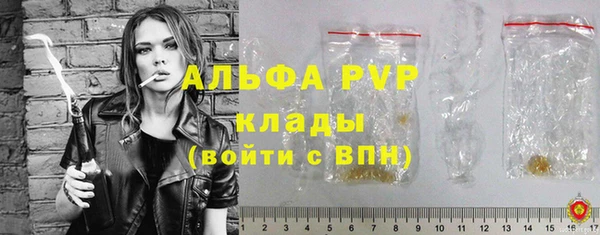 меф Ельня