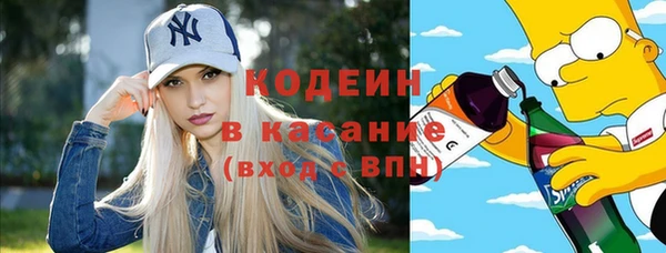 меф Ельня