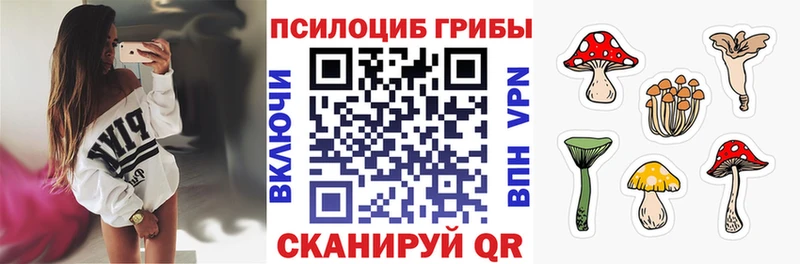 как найти закладки  Моршанск  Псилоцибиновые грибы прущие грибы 