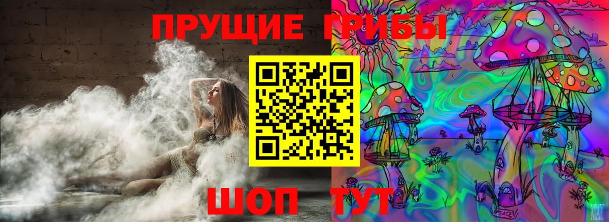 Псилоцибиновые грибы Cubensis Моршанск